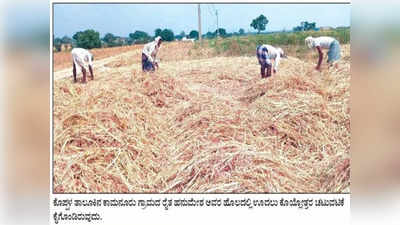 Agriculture Success Story: ಬರದಲ್ಲೂ ಸೈ ಎನಿಸಿಕೊಂಡ ಸಿರಿಧಾನ್ಯ: ಕೊಪ್ಪಳ ಸಿರಿ ಉತ್ಪನ್ನಗಳಿಗೆ ಭಾರಿ ಬೇಡಿಕೆ