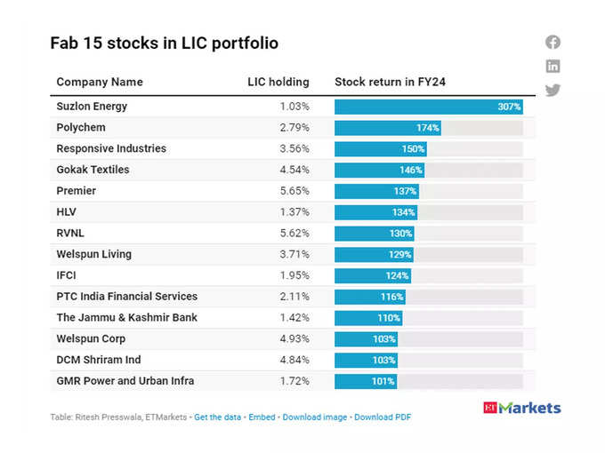 LIC-Portfolio