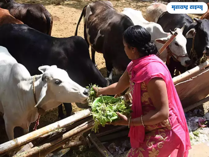 गोपाष्टमी २०२३