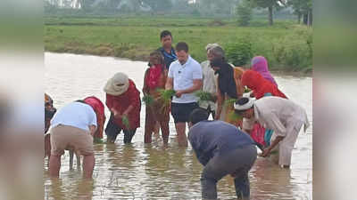 రైతుగా మారిన రాహుల్ గాంధీ.. కొడవలి పట్టి పంట కోసిన కాంగ్రెస్ నేత 