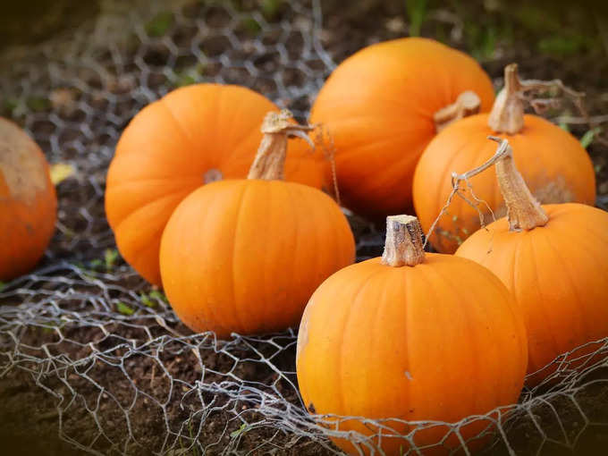 Beliefs Related To Pumpkin