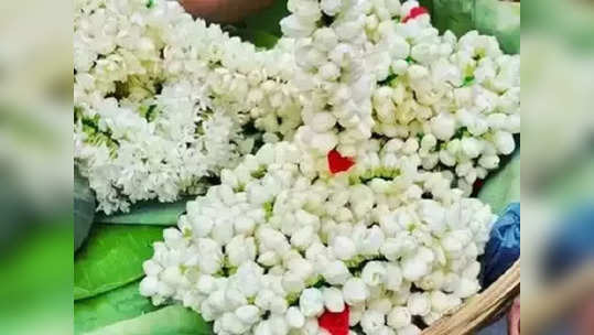 நாமக்கல்லில் பூக்களின் விலை வீழ்ச்சி... விவசாயிகள் கவலை