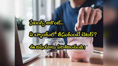 Savings Account: ఏ బ్యాంకులో సేవింగ్స్ అకౌంట్ తెరిస్తే బెటర్.. ఈ విషయాలు తెలుసుకోండి!