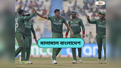Bangladesh National Cricket Team: বিশ্বকাপে অষ্টরম্ভা, হেরে ভূত হয়েও কোটি কোটি টাকা আয় বাংলাদেশের
