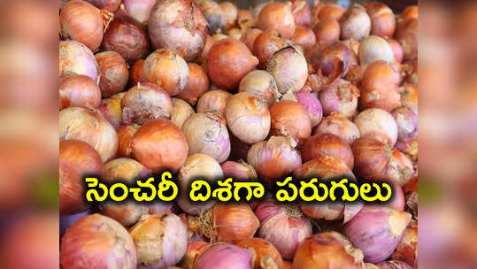 Onion Prices: సెంచరీ దిశగా ఉల్లి ధర.. కోయకుండానే సామాన్యులకు కన్నీళ్లు! 