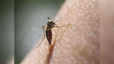 Zika Virus: బెంగళూరులో జికా వైరస్ కలకలం.. అధికారులు అలర్ట్