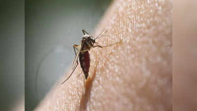 Zika Virus: బెంగళూరులో జికా వైరస్ కలకలం.. అధికారులు అలర్ట్ 