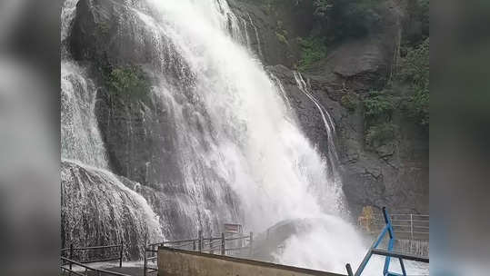 குற்றாலம் அருவிகளில் பயங்கர வெள்ளப்பெருக்கு! சுற்றுலா பயணிகளுக்கு தடை!