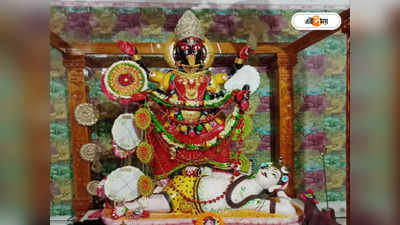 Kali Mandir Howrah : ভক্তদের মনস্কামনা পূরণ করেন মা, নবকলেবরে সাজছে হাওড়ার সিদ্ধেশ্বরী কালী মন্দির