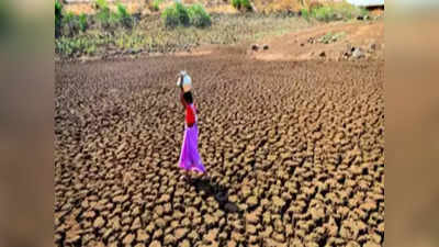 Maharashtra Drought: राज्यातील ४० तालुक्यांत दुष्काळ जाहीर; पुणे जिल्ह्यातील पाच तालुक्यांचाही समावेश