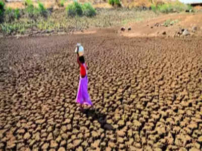 Maharashtra Drought: राज्यातील ४० तालुक्यांत दुष्काळ जाहीर; पुणे जिल्ह्यातील पाच तालुक्यांचाही समावेश