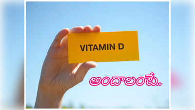 Vitamin D : విటమిన్ డి లోపం ఉందా.. ఇలా చేయండి.. 