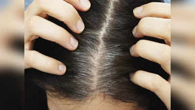 Foods For Gray Hair: বারবার রং নয়, বরং সস্তার এই খাবার খেলেই কালো হবে পাকা চুল! নামগুলি ঝটপট জানুন