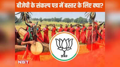 BJP Bastar Manifesto: बस्‍तर के लिए बीजेपी ने की वादों की बौछार, हर परिवार को मिलेंगी 2-2 बकरियां