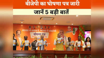 Chhattisgarh BJP Manifesto: गेमचेंजर साबित हो सकती हैं ये 5 घोषणाएं, बीजेपी के घोषणा पत्र में किसानों के लिए बड़ा ऐलान