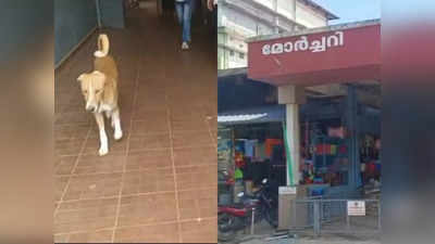Dog Waiting for Owner: പ്രിയമുളളരാള്‍ വരില്ലെന്നറിഞ്ഞിട്ടും രാമു കാത്തിരിക്കുന്നു; മോര്‍ച്ചറിക്ക് മുന്‍പില്‍ മാസങ്ങളായി ഒരു നായ