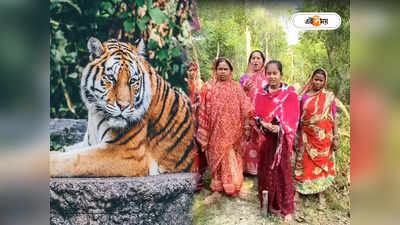 Royal Bengal Tiger : বাঘ দেখে মূর্ছা যায় ছাত্রী, দক্ষিণ রায়ের আতঙ্কে ঘুম উড়েছে গ্রামবাসীর