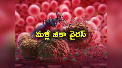 Zika virus: దేశంలో మరోసారి జికా వైరస్ గుర్తింపు.. అప్రమత్తమైన ప్రభుత్వం