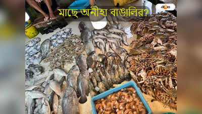 Biggest Fish Market In India : কলকাতা নয়, জানেন দেশের সবচেয়ে বড় মাছ বাজার কোথায়?