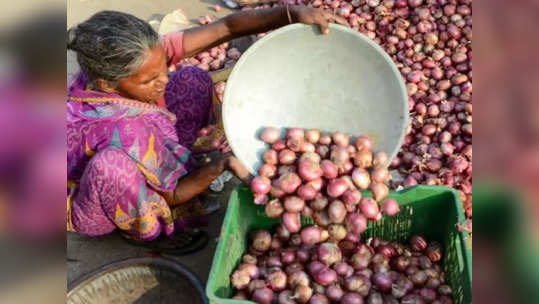 ஒரு கிலோ வெங்காயம் 25 ரூபாய்.. மத்திய அரசு நடவடிக்கை!