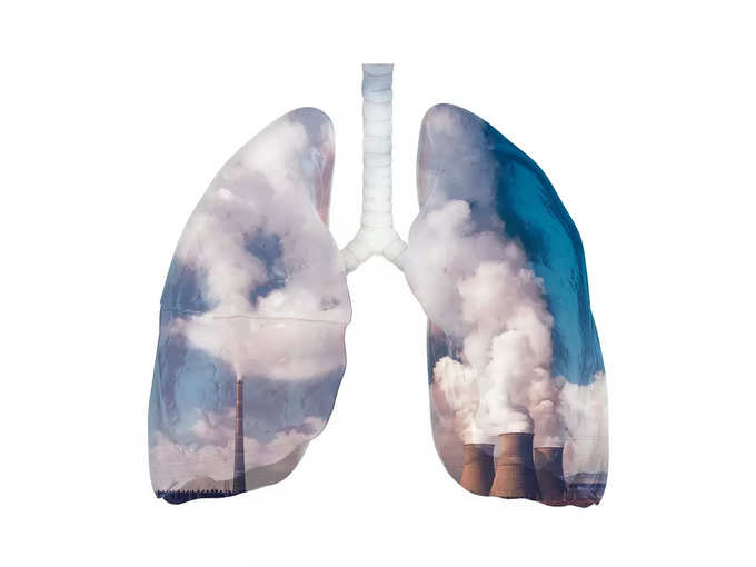 polluted lungs