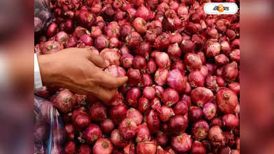 Onion Price: অগ্নিমূল্য পেঁয়াজের দাম কমবে অচিরেই, আশ্বাস টাস্ক ফোর্সের