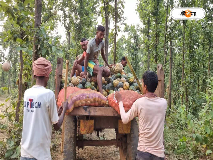 হাতিদের জঙ্গলেই রাখতে চাইছে বনদফতর