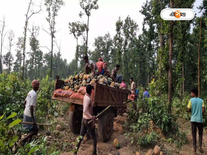 দেওয়া হচ্ছে বিভিন্ন খাবার