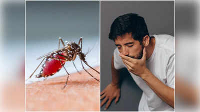 Dengue Symptoms: কোন লক্ষণে বুঝবেন ডেঙ্গি পৌঁছে গিয়েছে বাড়াবাড়ি পর্যায়ে? উত্তর জেনে নিন চিকিৎসকের মুখ থেকে!