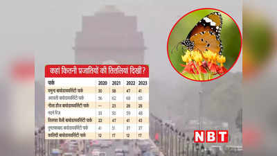 Delhi Pollution: इंसान तो छोड़िए, इस दैत्य प्रदूषण ने तो तितलियों को भी नहीं बख्शा!