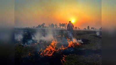 Punjab Stubble Burning: दिल्ली का घुट रहा दम, हरियाणा भी हुआ बेहाल... पंजाब में पराली जलाने के सबसे अधिक 3230 मामले
