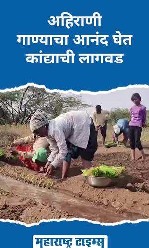 dhule news ahirani song women farming