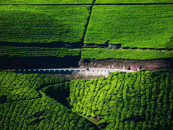 ಮುನ್ನಾರ್ ಹಿಲ್‌ಸ್ಟೇಷನ್