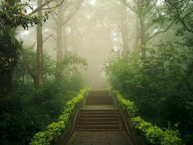 ಕೊಡೈಕೆನಾಲ್ ಹಿಲ್‌ಸ್ಟೇಷನ್