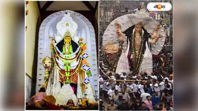 Krishnanagar Jagadhatri Puja : এই বছর গ্রিন করিডোরে জগদ্ধাত্রী ভাসান, সুযোগ পাবে হাতেগোনা কয়েকটি পুজো