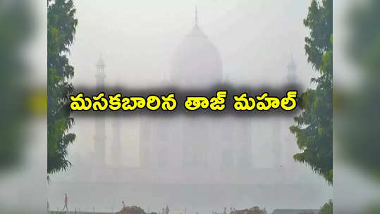 Taj Mahal: కాలుష్య కోరల్లో తాజ్‌మహల్‌.. మసకబారిన ప్రేమ చిహ్నం 