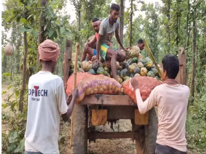 हाथियों को जंगल में ही रखना चाहता है ​वन विभाग 