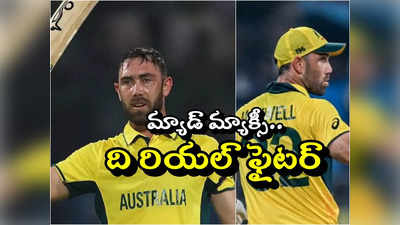 Glenn Maxwell: సలాం యోధుడా.. మ్యాక్స్‌వెల్ వీరోచిత పోరాటానికి క్రికెట్ ప్రపంచం ఫిదా.. 