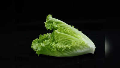 Lettuce Health Benefits: ఈ ఆకు కూర మీ ఆహారంలో తీసుకుంటే.. లెక్కలేనన్ని ఆరోగ్య ప్రయోజనాలు తెలిసా..?
