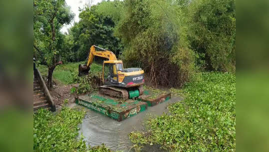 வடகிழக்கு பருவமழை முன்னேற்பாடு: நாகையில் ஆகாயத்தாமரை அகற்றும் பணி தீவிரம்