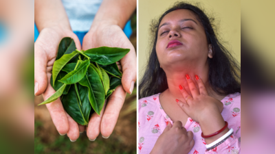 Sore Throat Home Remedies: प्रदूषण ने जकड़ लिया गला? जमा कफ निकाल देंगी 5 चीजें, सूजन-दर्द से मिलेगी राहत
