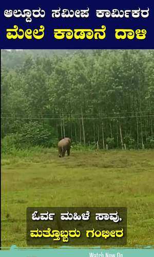 aldur chikkamagaluru wild elephant attack on coffee plantation workers one women death