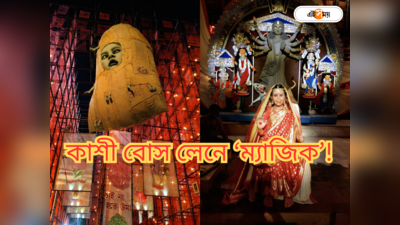 Durga Puja : ১০ দিনেই ভ্যানিশ! দুর্গাপুজোর শেষেও ব্যাপক চর্চা কাশী বোস লেন নিয়ে