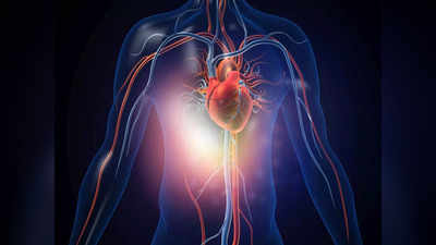 दिल पर आंच नहीं आने देंगे 5 आसान उपाय, BP हमेशा रहेगा कंट्रोल, Heart Attack से भी होगा बचाव