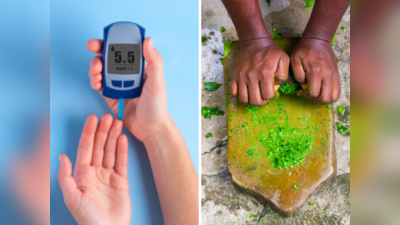 Diabetes Treatment: वैज्ञानिकों का दावा- डायबिटीज की असली दुश्मन हैं ये 5 भारतीय जड़ी बूटी, हद में रहेगा Blood Sugar