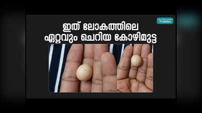 Worlds Smallest Chicken Egg: ലോകത്തിലെ ഏറ്റവും ചറിയ കോഴിമുട്ട മലപ്പുറത്ത്, പിന്നിലാക്കിയത് അമേരിക്കന്‍ സ്വദേശിയുടെ റെക്കോഡ്