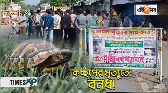 cooch behar baneswar local people call strike in protest of tortoise expired watch video