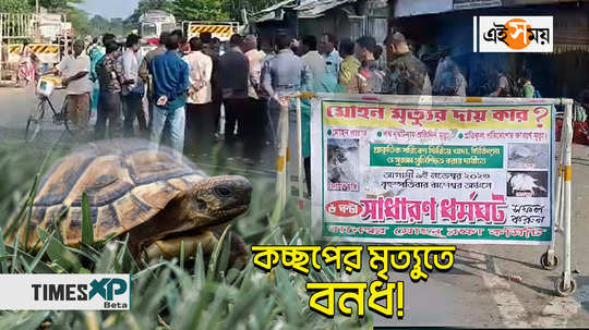 cooch behar baneswar local people call strike in protest of tortoise expired watch video
