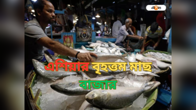 Biggest Fish Market: প্রতিদিন কোটি কোটি টাকার ব্যবসা! পশ্চিমবঙ্গেই আছে এশিয়ার বৃহত্তম মাছের বাজার, জানেন?