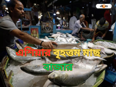 Biggest Fish Market: প্রতিদিন কোটি কোটি টাকার ব্যবসা! পশ্চিমবঙ্গেই আছে এশিয়ার বৃহত্তম মাছের বাজার, জানেন?